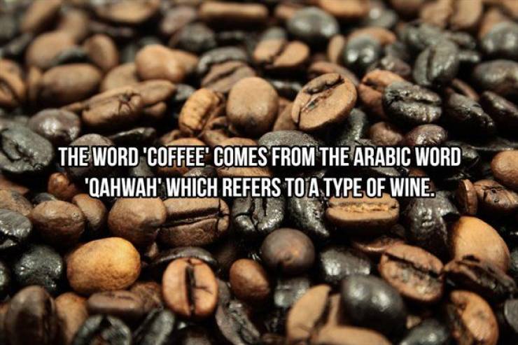 Addictive Facts About Coffee