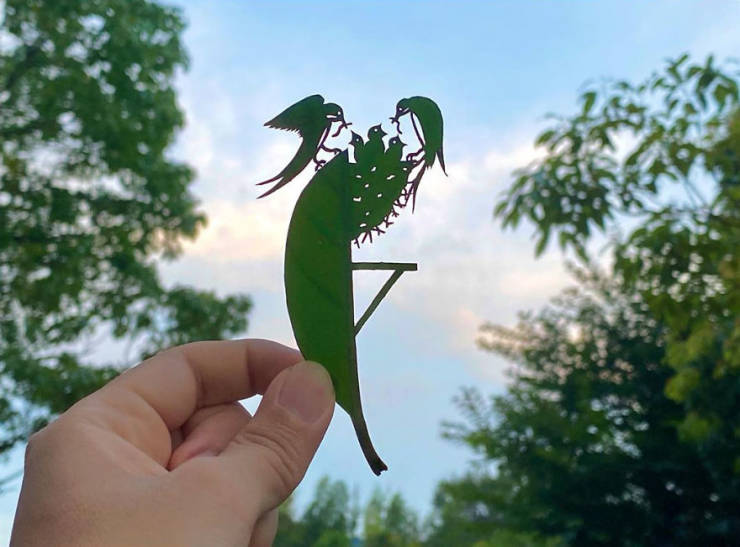 Japanese Artist Turns Tree Leaves Into Intricate Vignettes