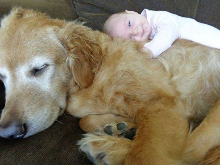 Kids With Pets Are Way Too Adorable!