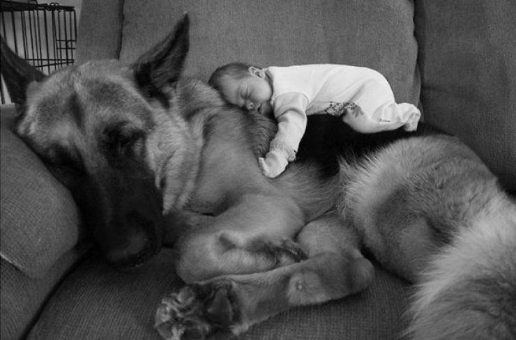 Kids With Pets Are Way Too Adorable!