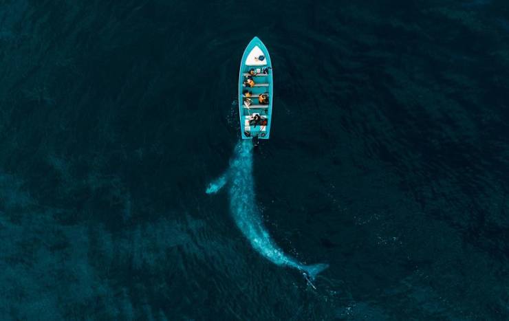 Drone Photography Is Beautiful, And These Contest Winners Prove It!