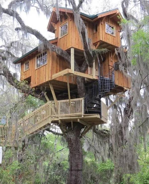 Want Yourself A Treehouse?