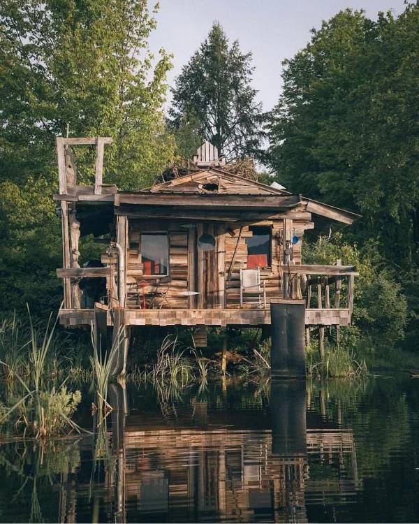 Want Yourself A Treehouse?