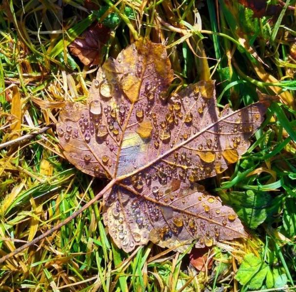 Nature Surprises Us On Every Corner!