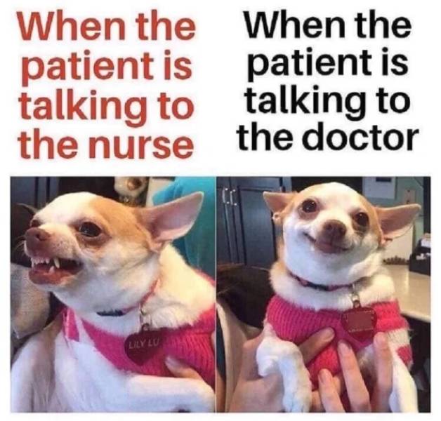 Nurses Have Their Own Kind Of Memes…