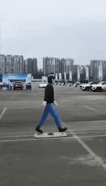 Tesla Model 3 Test With A Pedestrian Dummy