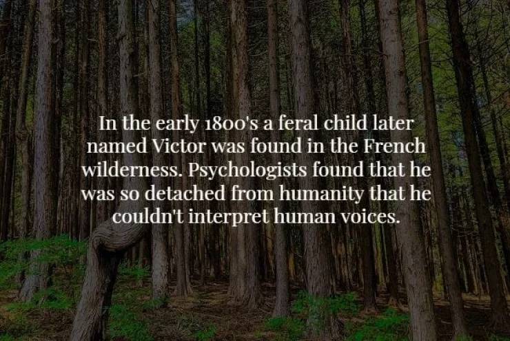 Nothing Will Save You From These Creepy Facts!