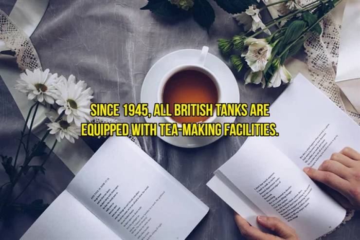 These Historical Facts Are Difficult To Explain…