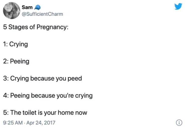 Pregnancy Is A Lot Of Fun! And Tears