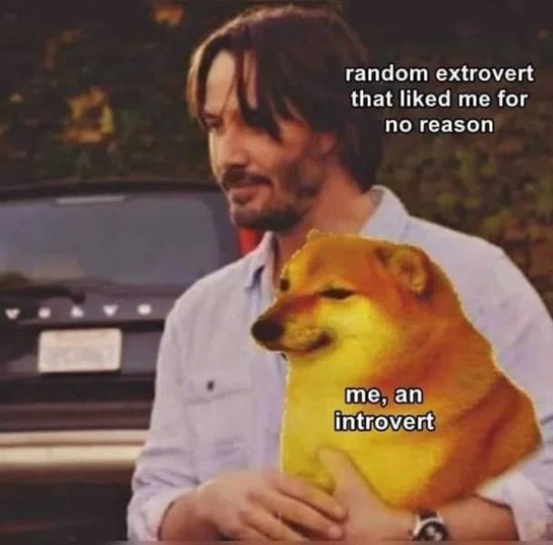 Introvert Memes Don’t Go Out…