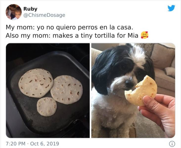 Latina Moms Don’t Want Any Dogs In Their House…