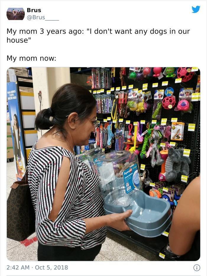 Latina Moms Don’t Want Any Dogs In Their House…