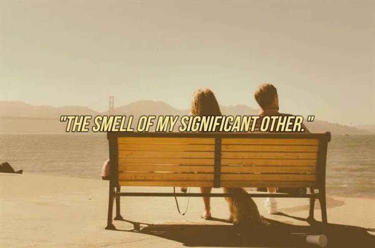 These Are THE Best Smells!