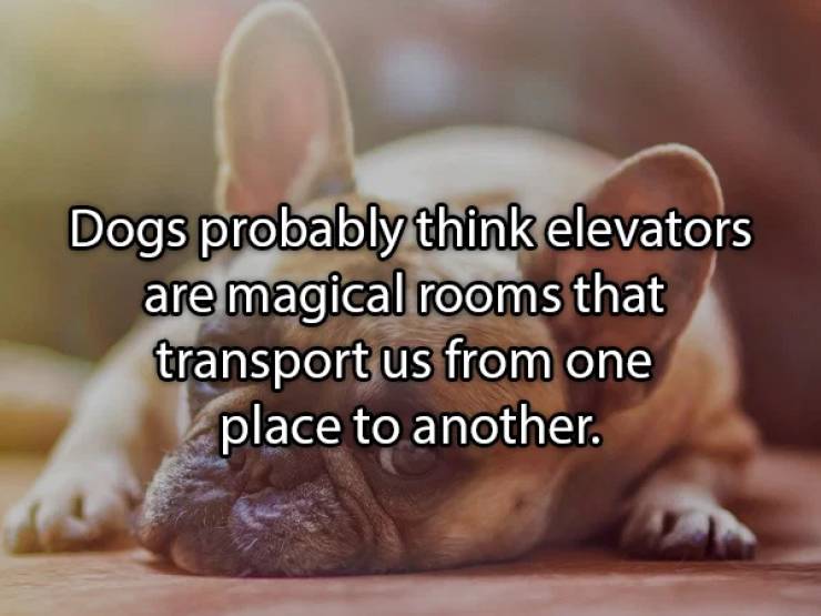 Shower Thoughts Can’t Be Explained…