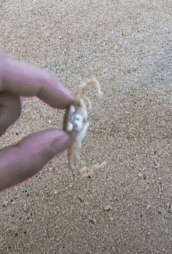 And Now I Want To See It In Slow Motion