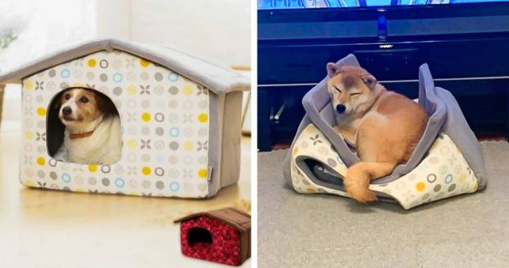 Animals Who Really Appreciate Their Gifts…
