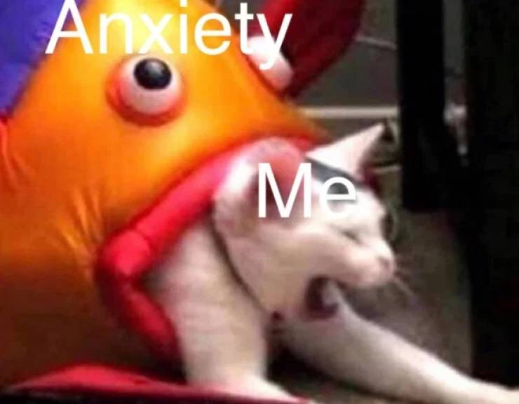 At Least Anxiety Memes Won’t Bring You More Anxiety…