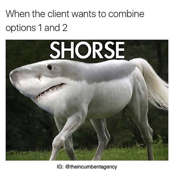 A picture of a hybrid creature half-shark and half-horse making “shorse.” The picture says: “When the client wants to combine option 1 and option 2”.