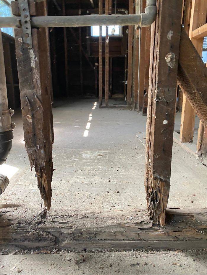 Structural Inspectors See Some Nerve-Wracking Stuff…