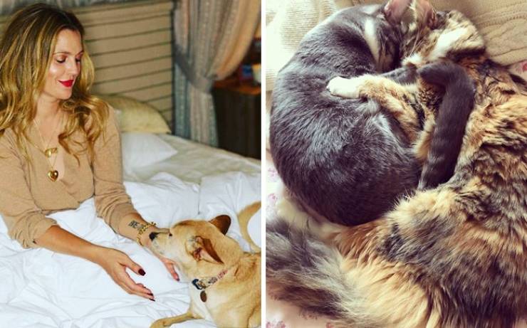 Celebs Who Adopted Their Pets From Shelters Or Streets