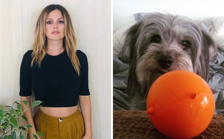 Celebs Who Adopted Their Pets From Shelters Or Streets