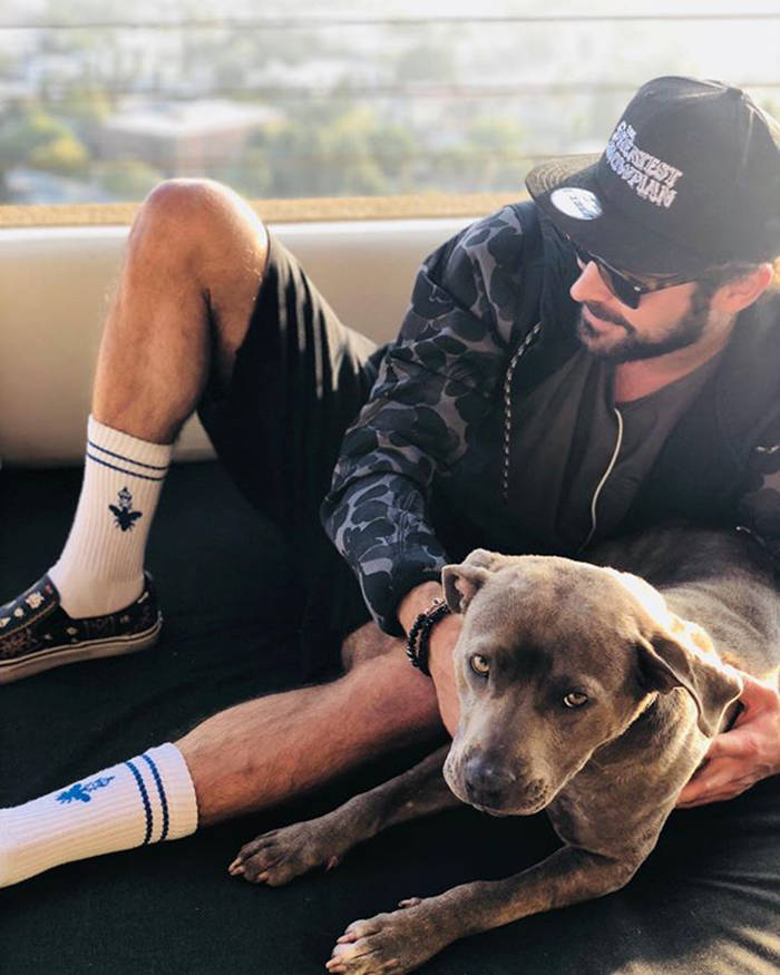 Celebs Who Adopted Their Pets From Shelters Or Streets