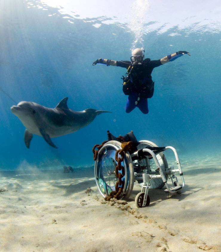 Fine Examples When A Picture Says More Than Just A Thousand Words