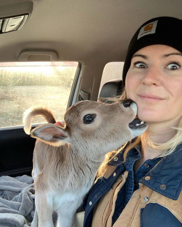 Fine Examples When A Picture Says More Than Just A Thousand Words