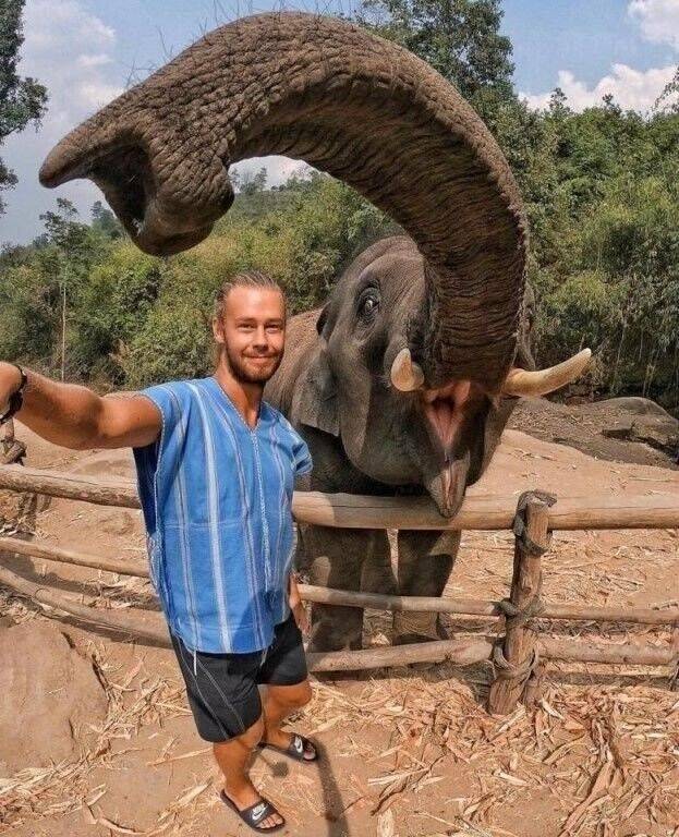 Fine Examples When A Picture Says More Than Just A Thousand Words