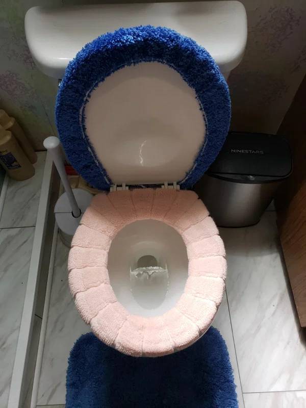 These Toilet Designs Aren’t Good…