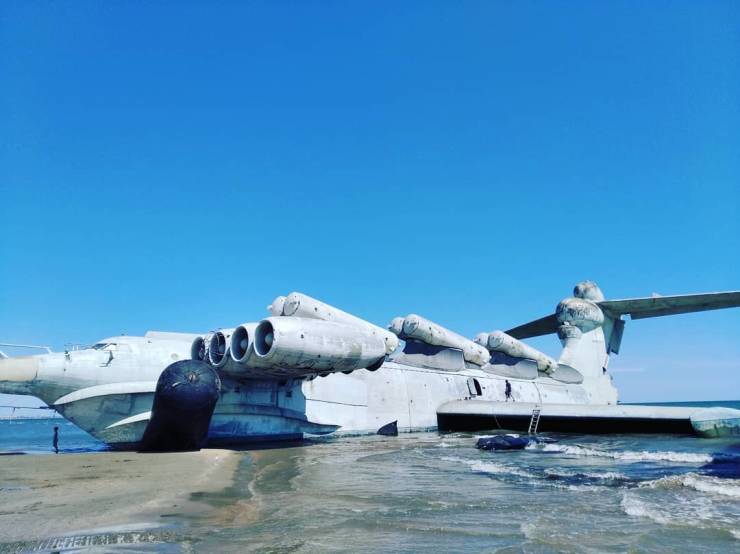“Caspian Sea Monster” And Its Final Resting Place