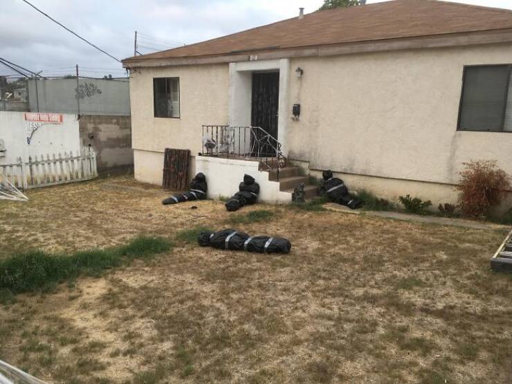 These Halloween Decorations Are Rather Scary…
