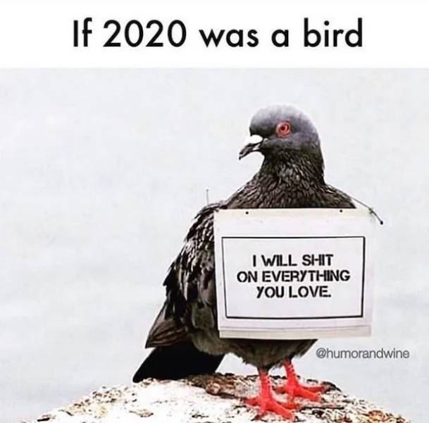 2020 Is A Mess, And These Memes Are Just As Bad