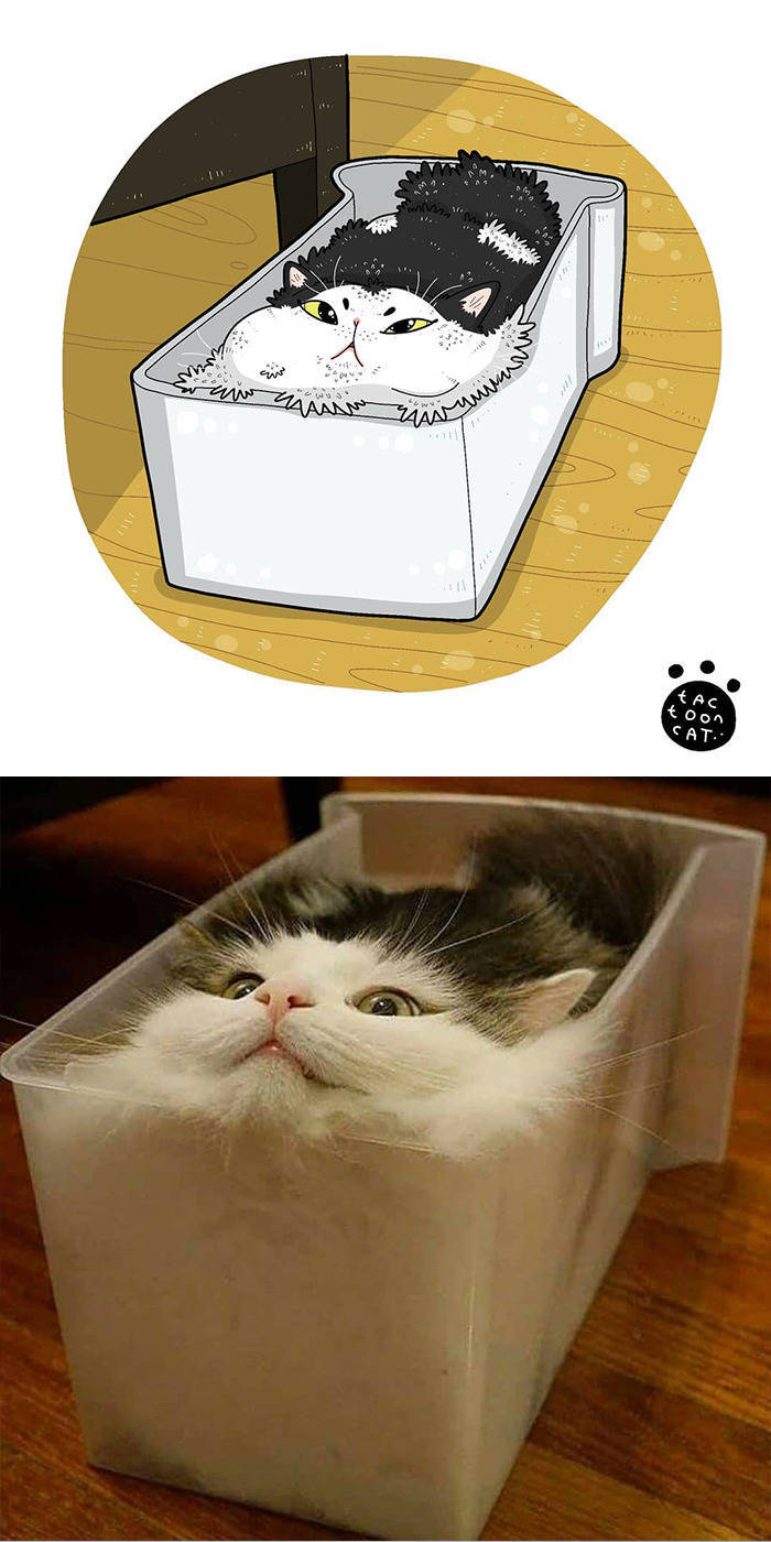 Internet-Famous Cats Get Their Own Illustrations