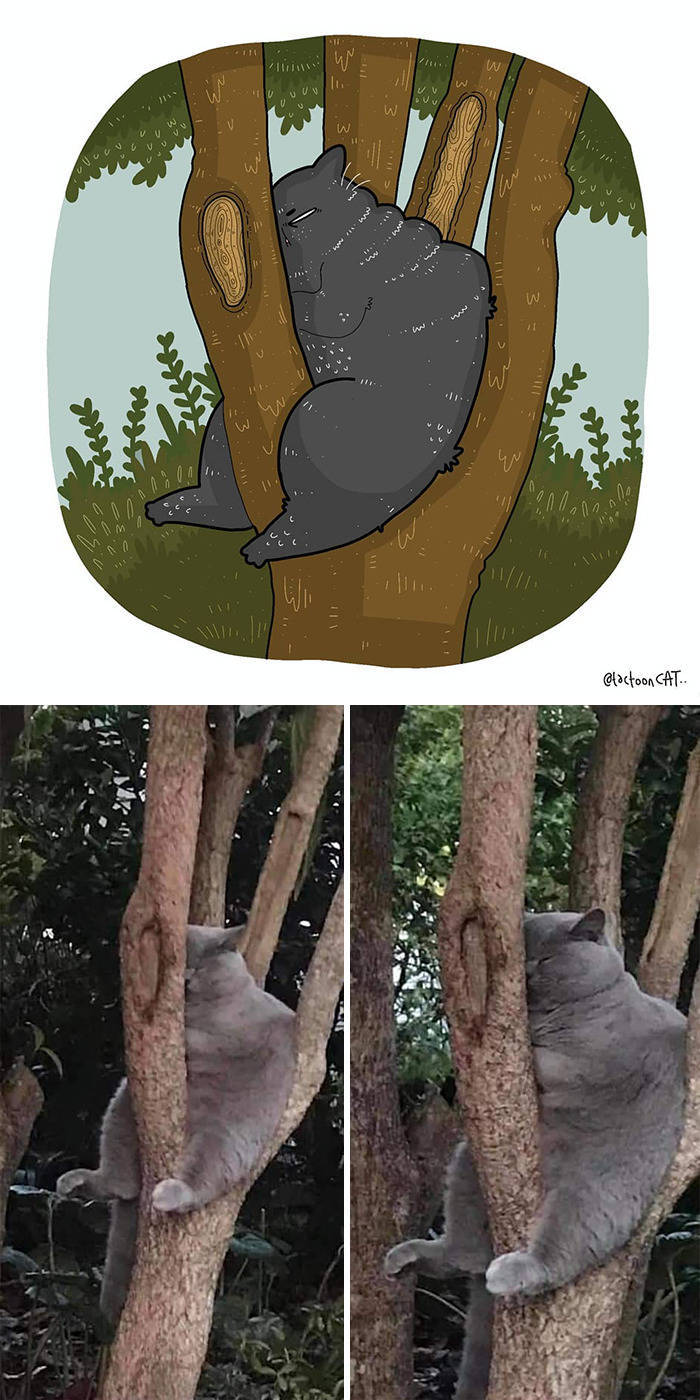 Internet-Famous Cats Get Their Own Illustrations