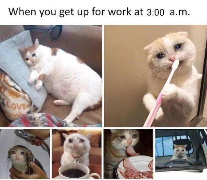 These Coffee Memes Are Definitely Overcaffeinated!