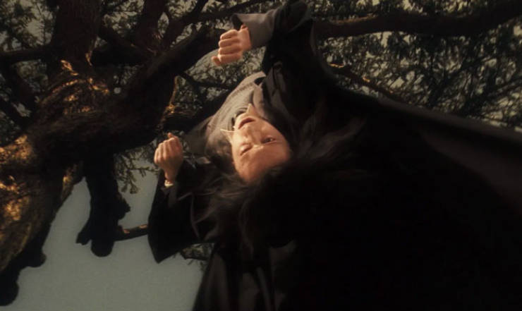 “Harry Potter” Facts That Were Omitted In The Movies