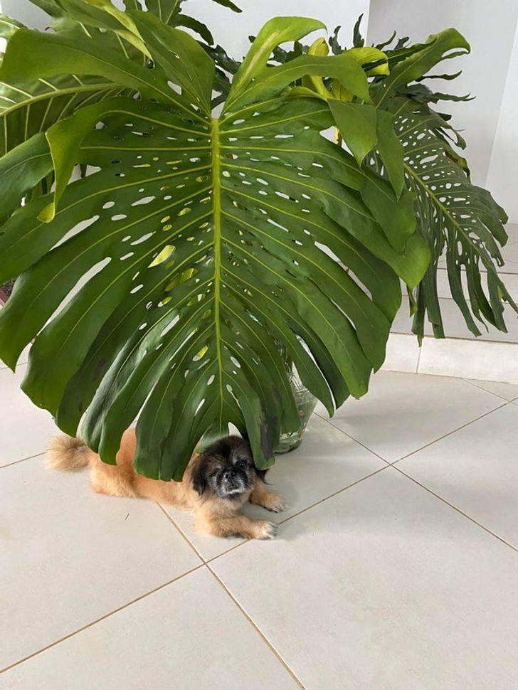 These Are The Findings You Love To See!