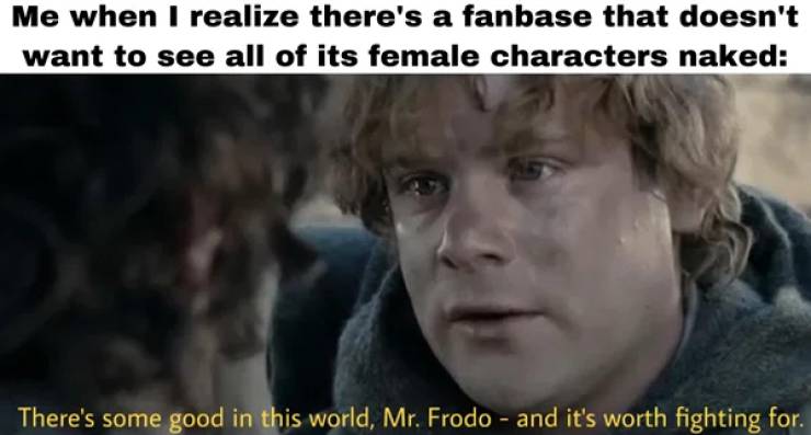 LOTR: The Fellowship Of The Memes