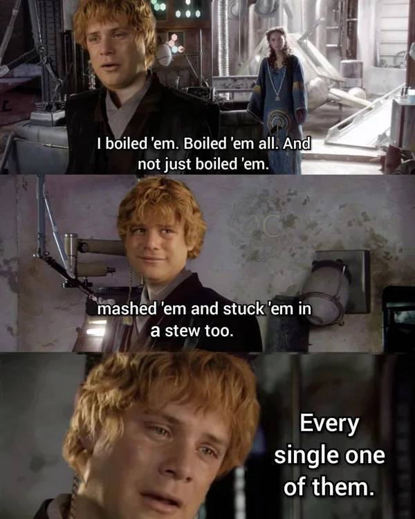 LOTR: The Fellowship Of The Memes