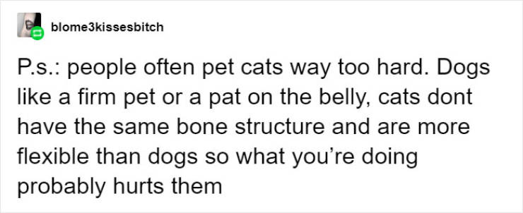 Cat People Explain Cat Body Language To Dog People