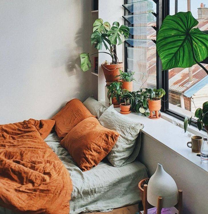 How You Can Make Your Apartment Better With A Single Thing