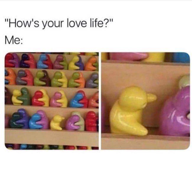 These Memes Are Single And Happy About It 34 Pics Izismile Com