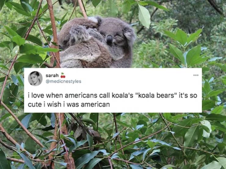 Non-Americans Reveal Wild Things They Love About Americans