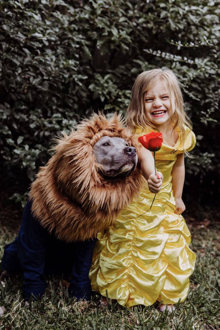 Even Pets Celebrated Halloween In Style!