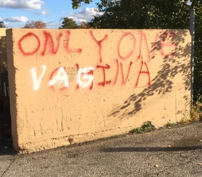 Mild Vandalism Is Okay