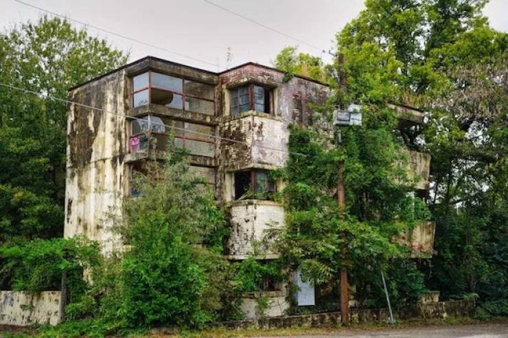 It’s Time For Nature To Reclaim What Is Hers!