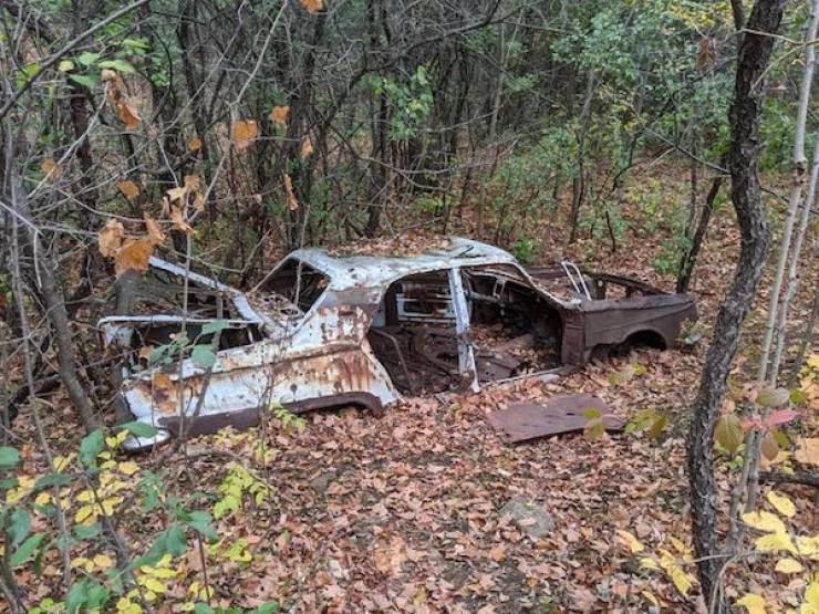 It’s Time For Nature To Reclaim What Is Hers!