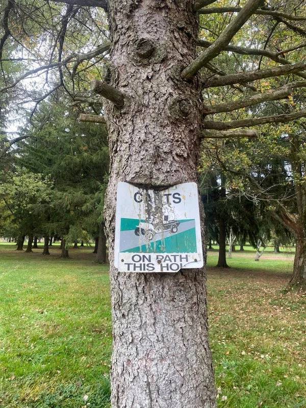 It’s Time For Nature To Reclaim What Is Hers!