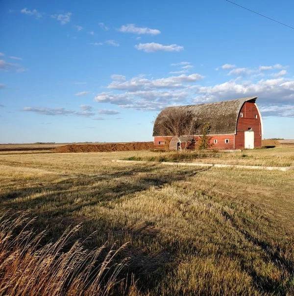 It’s Time For Nature To Reclaim What Is Hers!